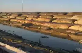 Geotextile erosion control bags placed along a shoreline to protect against coastal erosion and sediment loss